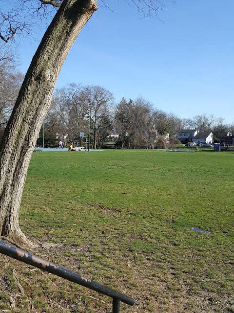 Ammann Park
